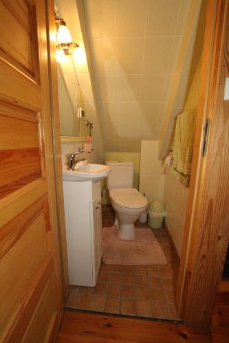 a small bathroom with a toilet and a sink at Dom nad jeziorem Dadaj BISKUPIEC in Wilimy