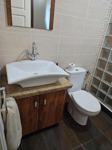 a bathroom with a sink and a toilet at Casa Alegria in Abertura