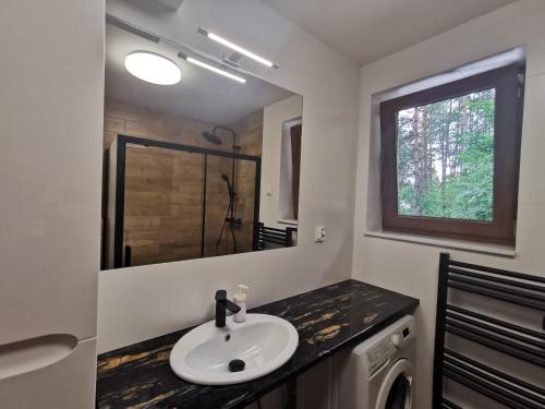 a bathroom with a sink and a mirror at Domki Pod Sosnami in Raków