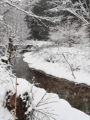 a stream with snow on the ground and trees at GITE CHEZ BERTHE in Pontfarcy