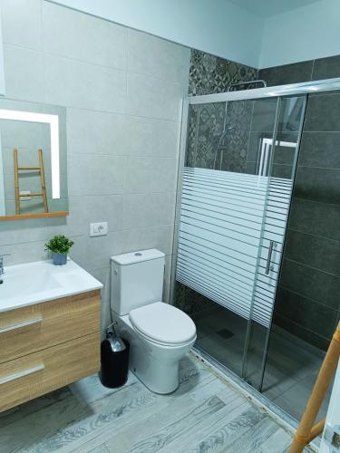 a bathroom with a toilet and a glass shower at Apartamento Meraki in Santa Cruz de Tenerife