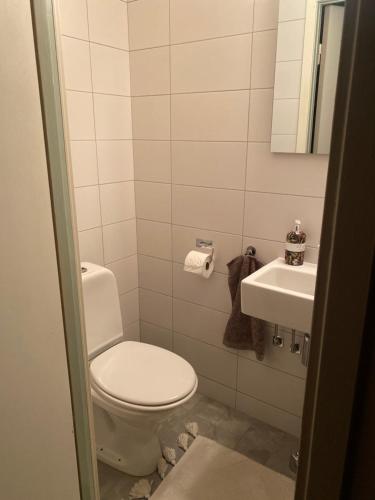 een badkamer met een toilet en een wastafel bij Villa Limhamn in Malmö