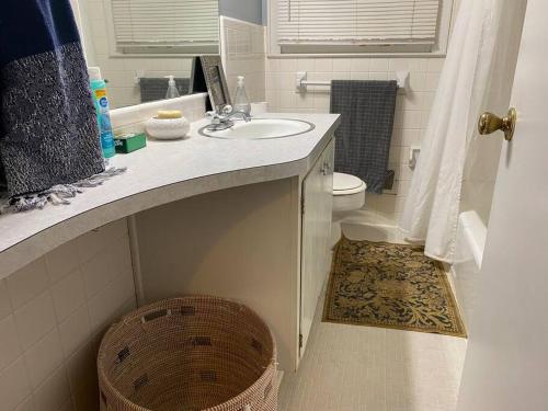 Whole House in Athens, Private, Fenced, Convenient, Close to Downtownにあるバスルーム