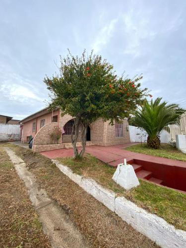 Una casa con un árbol con flores rojas. en Casa Quintero, en Quintero
