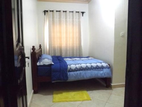 a bedroom with a bed with blue sheets and a window at Malaika Apartments Uganda in Kampala