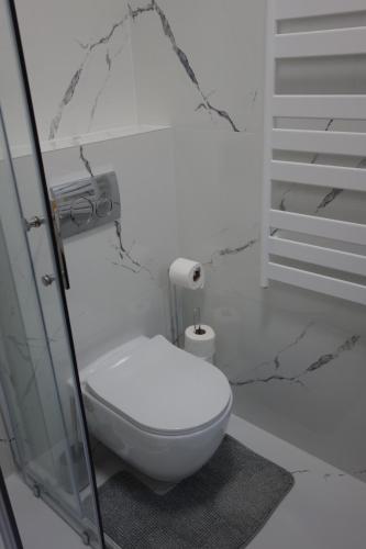een wit toilet in een badkamer met marmeren muren bij City Centre Samobor in Samobor