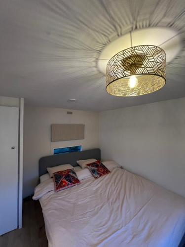 a bedroom with a large bed with a light fixture at Chalet Quattro in bosrijke omgeving in Anloo