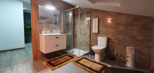 een badkamer met een douche, een toilet en een wastafel bij Quinta da Bandeira - Casa de Férias no Douro in Mártir