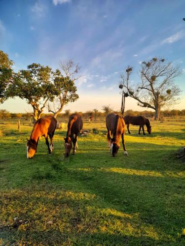 ESTANCIA SAN BALTAZAR