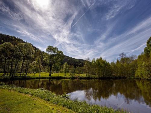a view of a lake with trees and a cloudy sky at Cihelny Golf & Wellness Resort in Karlovy Vary