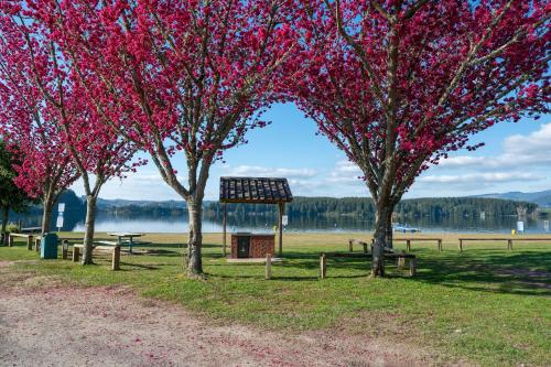 a park with trees with red leaves and a bench at Lakeside Treasure - Mangakino Holiday Home in Mangakino