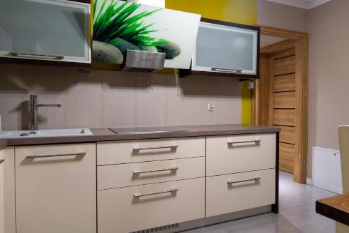 a kitchen with white cabinets and a sink at GOLD apartamenty & spa in Szczawnica