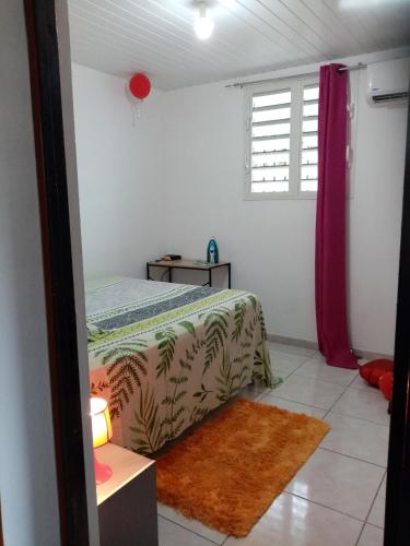 um quarto com uma cama, uma janela e um tapete em Un T2 climatisé, une nuit em Kourou