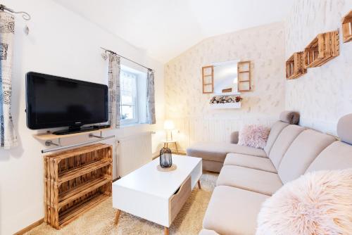 uma sala de estar com um sofá e uma televisão de ecrã plano em Wellness Apartmány Andrea em Zdíkov