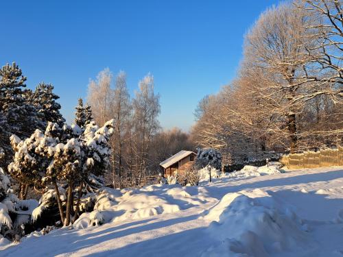 a snow covered yard with a house and trees at Brzozowy Zakątek in Bochnia