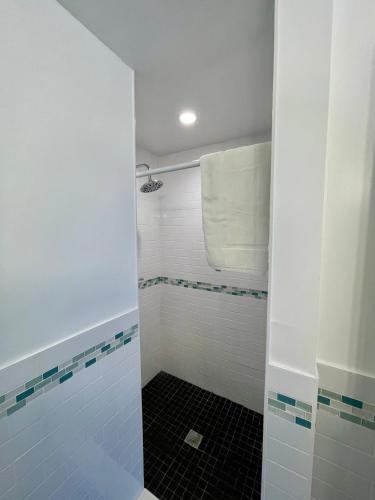 a bathroom with a shower with blue and white tiles at Nobleton Hotel in Fort Lauderdale