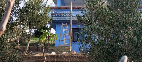 una casa azul con una escalera delante de ella en Hostel Meharchen, en Chefchaouen