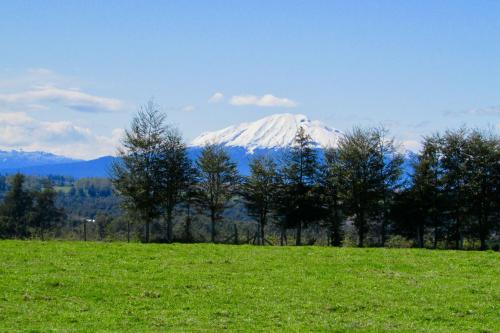 a snow covered mountain in a field with trees at Casa Rayen Puerto Varas in Puerto Varas