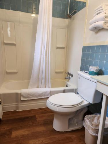 a bathroom with a toilet and a tub and a sink at Cortland Motel in Cortland