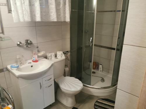 a bathroom with a toilet and a shower and a sink at Willa widok na jezioro i las Swornegacie in Małe Swornigacie