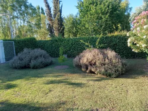 Casa Mis nietas – Photos 5