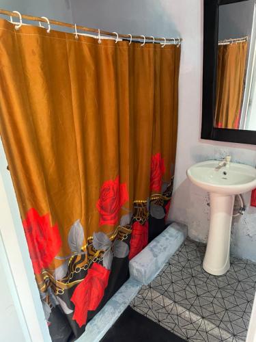een badkamer met een wastafel en een douchegordijn bij 1 habitation in Boca Chica