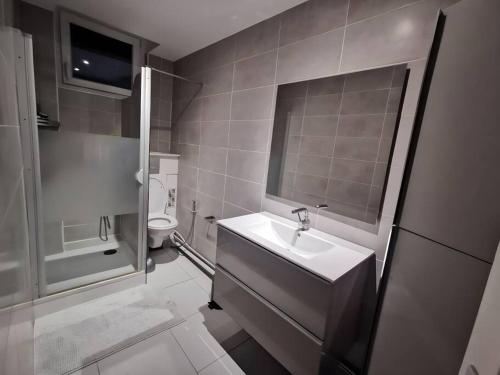 uma casa de banho com um lavatório e um WC em appartement confortable em Cachan