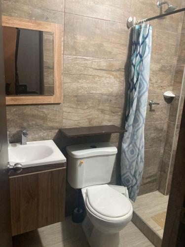ein Badezimmer mit einem WC, einem Waschbecken und einem Spiegel in der Unterkunft balcones de alejandria flandes (TOLIMA) in Flandes