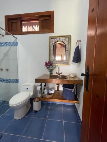 een badkamer met een wastafel, een toilet en een spiegel bij Hacienda La Tulia Eco Hotel in Toro