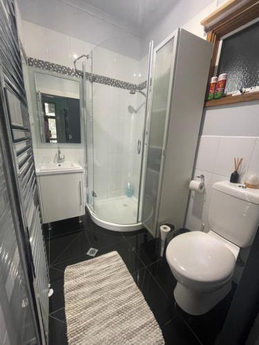 a bathroom with a toilet and a shower and a sink at Halls Retreat - Luxury with a spa in Baw Baw Village