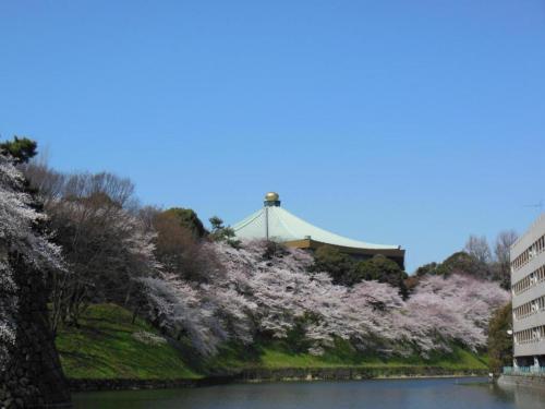 a view of a river with cherry blossoms at APA Hotel Iidabashi-Eki Minami in Tokyo
