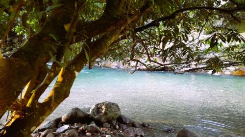 Un paisaje natural cerca de la casa de huéspedes