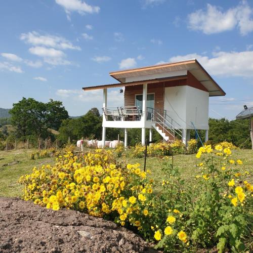 una pequeña casa en un campo con flores amarillas en สวนมรดกดอย 