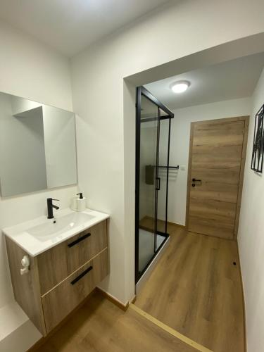 a bathroom with a sink and a shower with a mirror at 011-Superbe étage spacieux très calme netflix gratuit in Charleroi