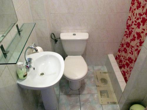 Kúpeľňa v ubytovaní Gościniec pod Kłosem