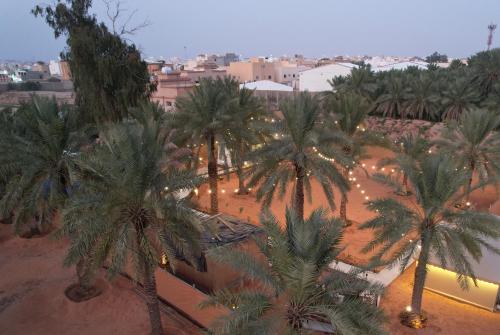 a group of palm trees in a desert with lights at منتجع الرتاج الريفي in Buraydah
