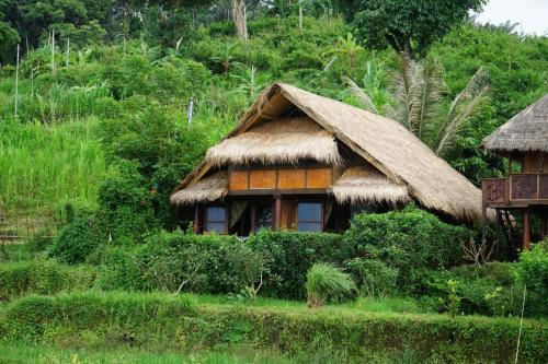 Κήπος έξω από το Rinjani Mountain Garden
