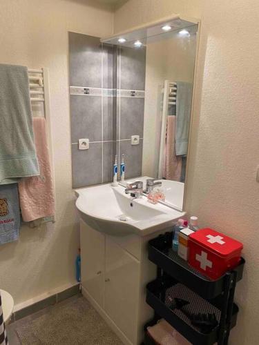 une salle de bain avec un lavabo et un miroir dans l'établissement Studio Castelnau le lez proche Montpellier odysseum et tram, à Castelnau-le-Lez