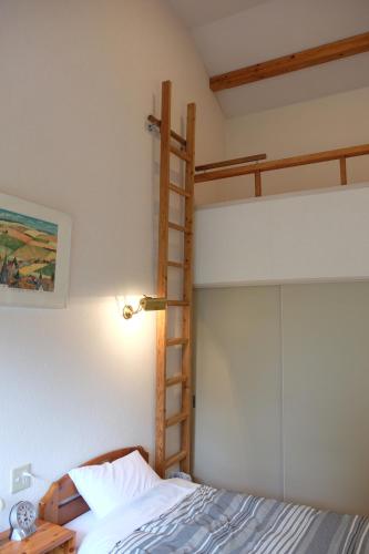 a bedroom with two bunk beds and a ladder at Garden Villa Minamiaso in Minami Aso