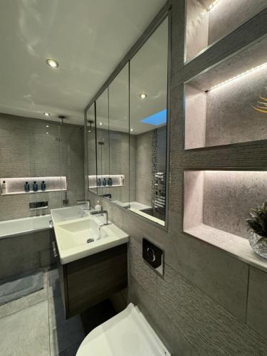 a bathroom with a sink and a toilet and a mirror at Standard Villa in London