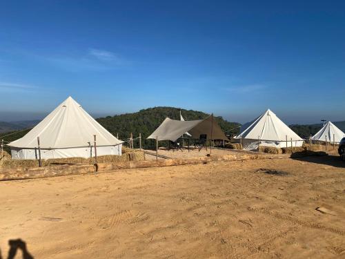 a group of white tents in a field at Wisdom Hill Campground in Phop Phra