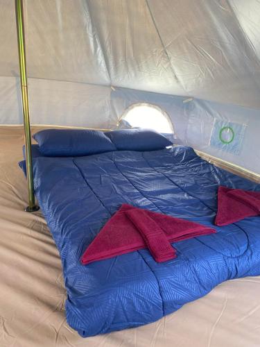 1 cama en una tienda de campaña con 2 almohadas rojas en Wisdom Hill Campground 
