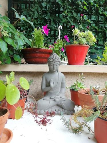 Statut d'un dans l'établissement Studio avec terrasse aux Portes de Paris, aux Lilas