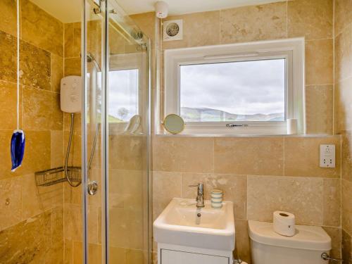 a bathroom with a toilet and a sink and a window at 1 Bed in Aberdovey 91692 in Pennal