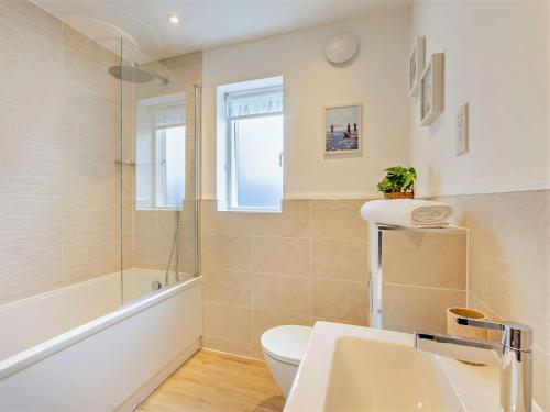 een badkamer met een toilet, een douche en een wastafel bij 3 Bed in Appledore 91984 in Appledore