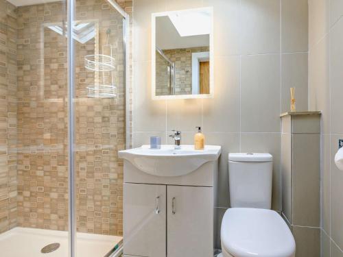 W łazience znajduje się toaleta, umywalka i prysznic. w obiekcie 1 Bed in Cullompton 92104 w mieście Kentisbeare