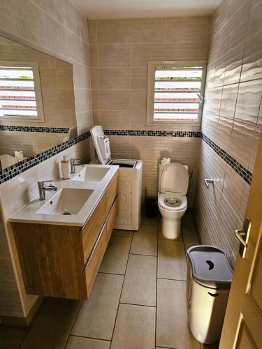 a bathroom with a sink and a toilet at Charme du Nord 1 in Sainte-Clotilde