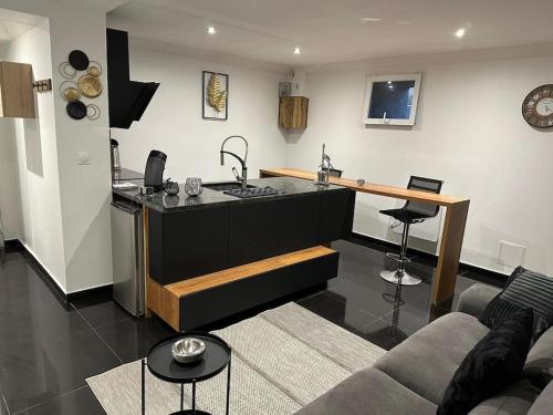 ein Wohnzimmer mit einer Küche und einem Sofa in der Unterkunft Super Appartement T2 Luxe 