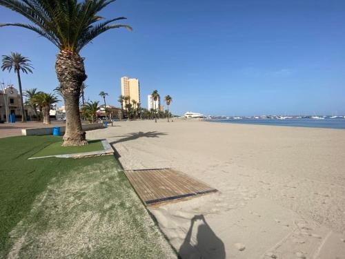 uma palmeira numa praia arenosa com o oceano em Casa Marisa In Santiago De la Ribera.Murcia em Santiago de la Ribera