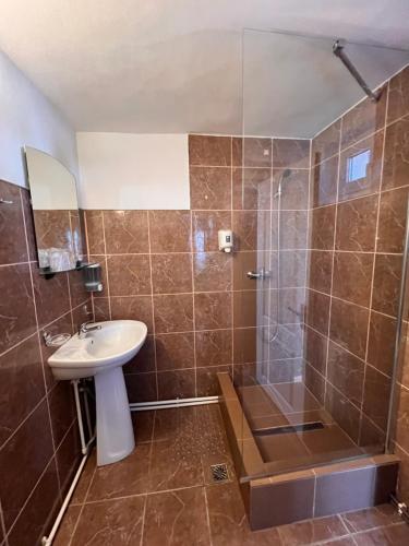 uma casa de banho com um chuveiro e um lavatório. em Pensiunea Pedro em Cluj-Napoca